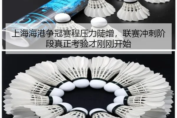 上海海港争冠赛程压力陡增，联赛冲刺阶段真正考验才刚刚开始 - kaiyun